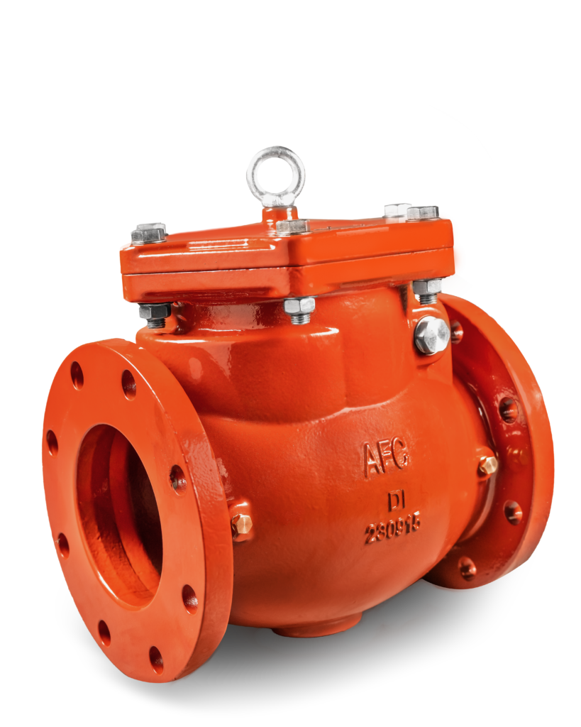 Check Valves
